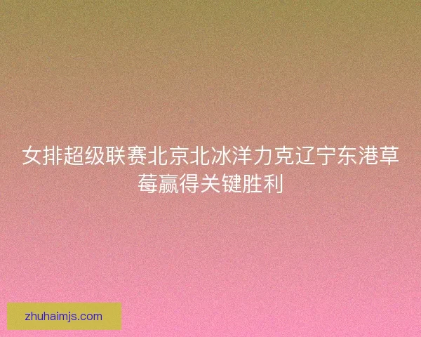 女排超级联赛北京北冰洋力克辽宁东港草莓赢得关键胜利